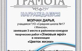 2022-3-место-район-Молчан-Дарья-Зiмовыя-мроi